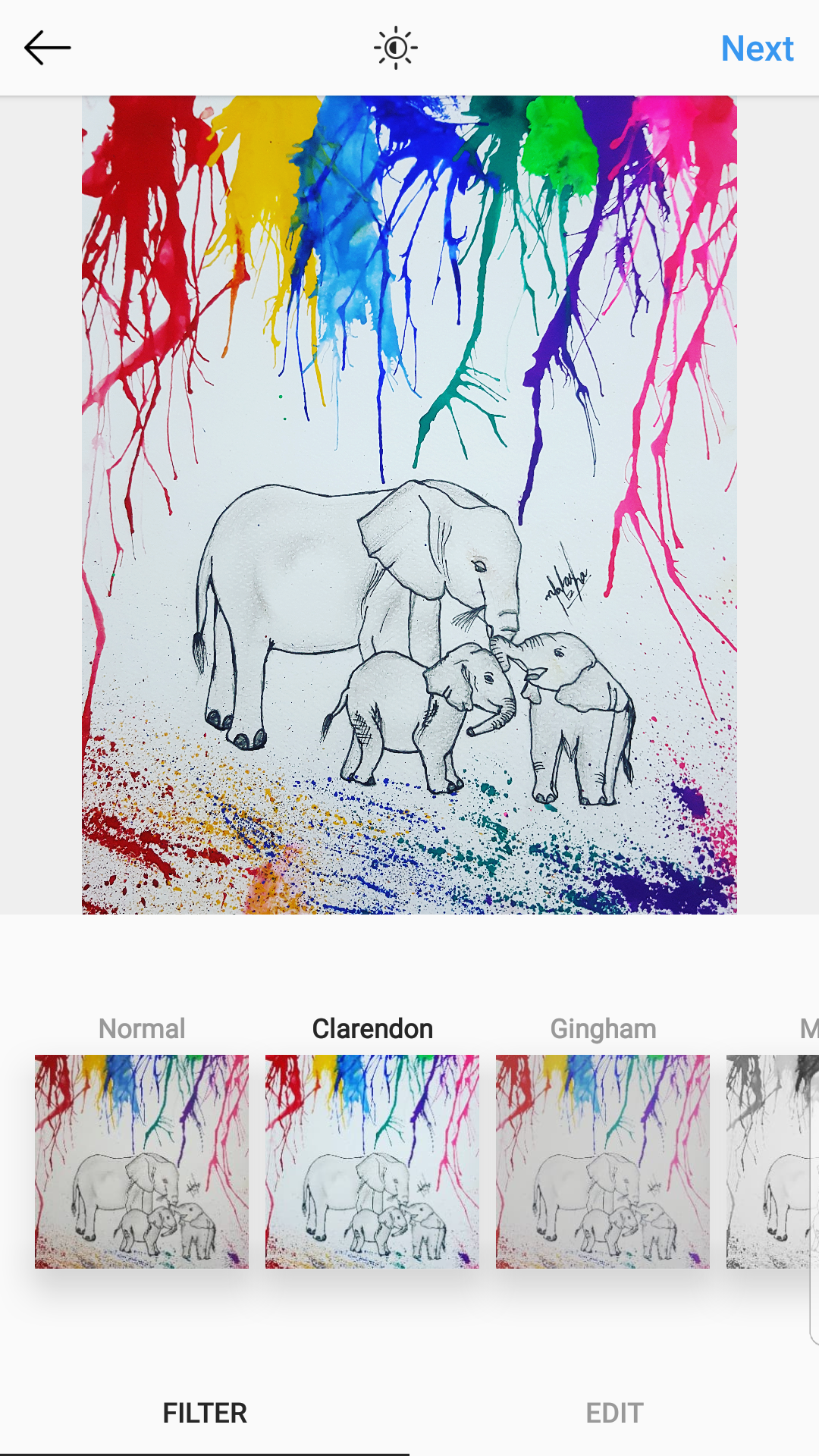 Rainbow Elephants